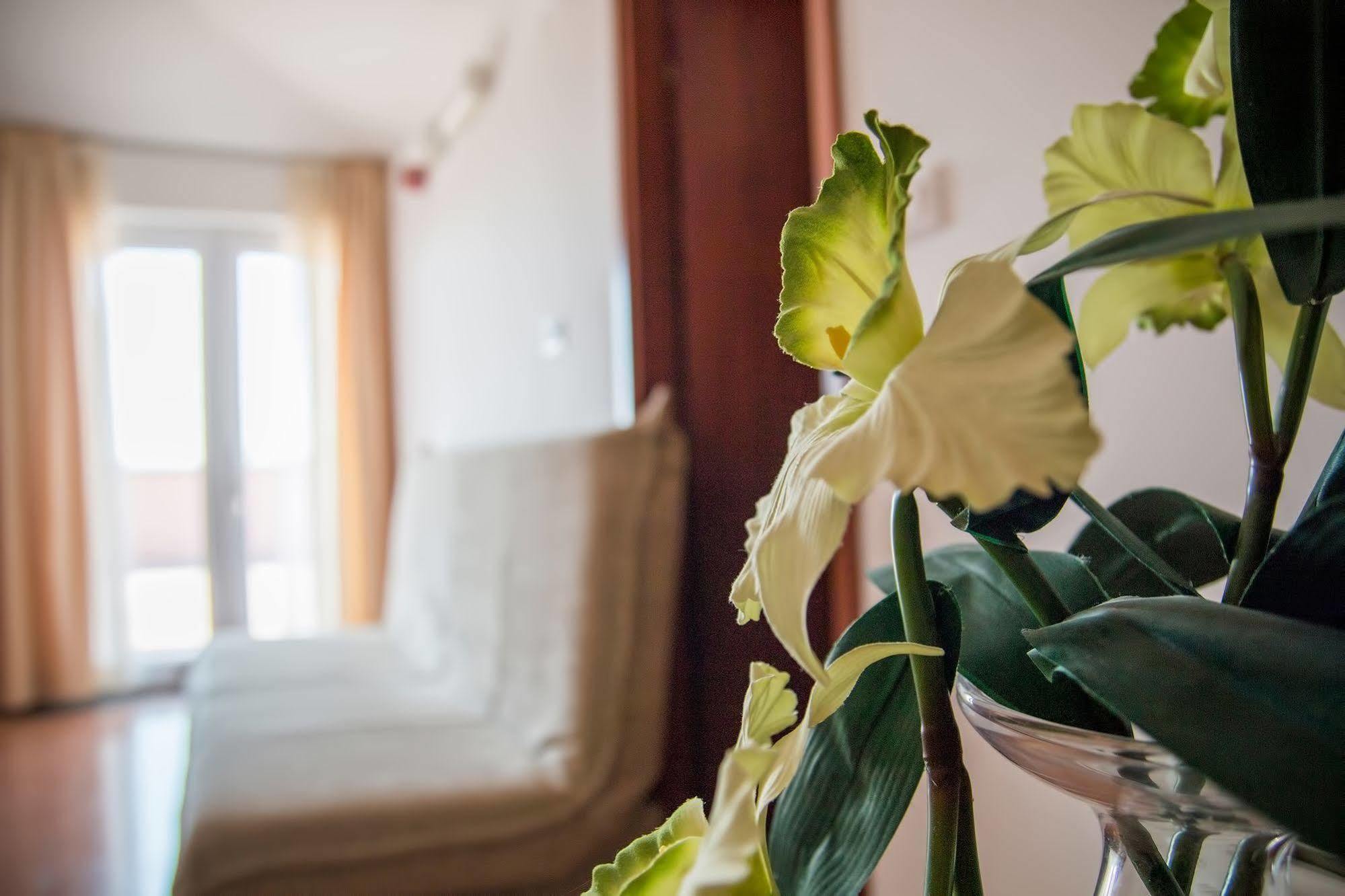 Hotel Hygge Biograd Na Moru Exterior foto